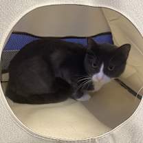 Thumbnail photo of Bib #1