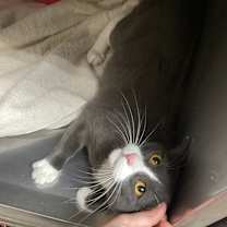 Thumbnail photo of Bib #2