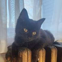 Thumbnail photo of Yara #3