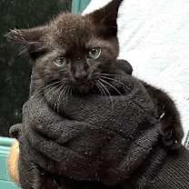 Thumbnail photo of Jill #3