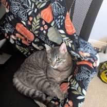 Thumbnail photo of Michael #1