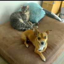 Thumbnail photo of Michael #4