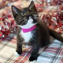 Thumbnail photo of Kamila #2