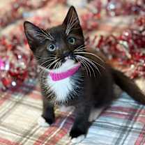 Thumbnail photo of Kamila #3