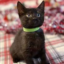 Thumbnail photo of Khloe #3