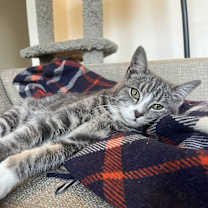 Thumbnail photo of Rowan #1