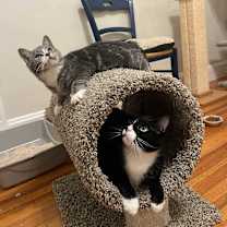 Thumbnail photo of Rowan #3