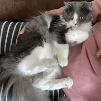 Thumbnail photo of Edgar #2