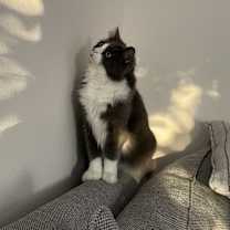 Thumbnail photo of Edgar #3