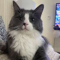 Thumbnail photo of Edgar #4