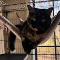 Thumbnail photo of Mona Lisa #3