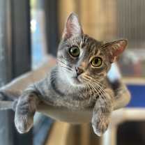 Thumbnail photo of Sophie #3