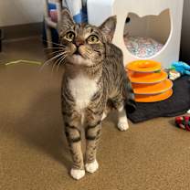 Thumbnail photo of Hannah #3