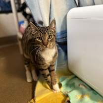 Thumbnail photo of Hannah #4