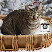 Thumbnail photo of Stella #2