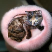 Thumbnail photo of Abigail  #3