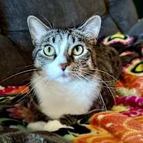 Thumbnail photo of Marie #4