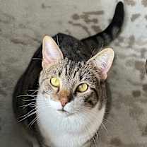 Thumbnail photo of Levi Douglas #1