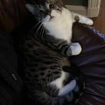 Thumbnail photo of Levi Douglas #2