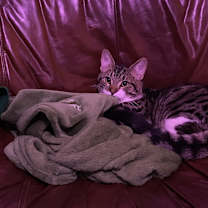 Thumbnail photo of Levi Douglas #3