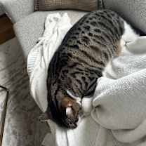 Thumbnail photo of Levi Douglas #4