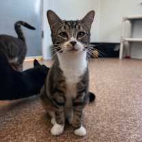 Thumbnail photo of Marsha #1