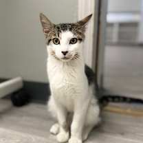 Thumbnail photo of Jr. #1