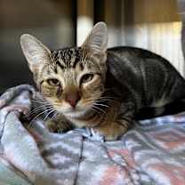 Thumbnail photo of Marco #3