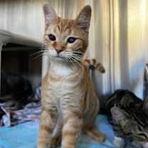 Thumbnail photo of Mason #3