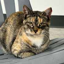 Thumbnail photo of Nellie #3