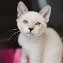 Thumbnail photo of Jewel #3