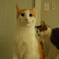 Thumbnail photo of Enrique #2