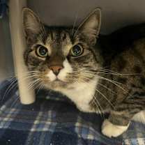 Thumbnail photo of Buddy #1