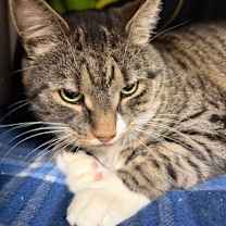 Thumbnail photo of Buddy #3