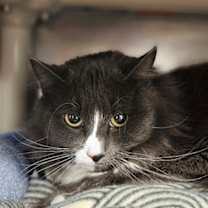 Thumbnail photo of Ava #1