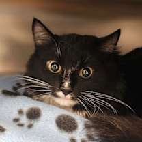 Thumbnail photo of Elijah #1