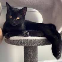 Thumbnail photo of Missy #1