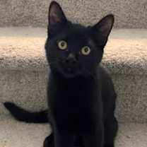 Thumbnail photo of Missy #2