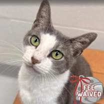 Thumbnail photo of Zoey #1