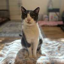 Thumbnail photo of Hans #3