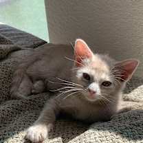 Thumbnail photo of Cinderella #3