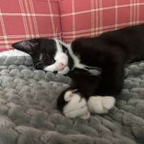 Thumbnail photo of Flower #1