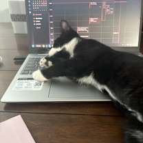 Thumbnail photo of Flower #2