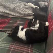 Thumbnail photo of Flower #4