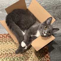 Thumbnail photo of Thumper #3