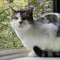 Thumbnail photo of Dusty #3