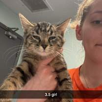 Thumbnail photo of Mabel (BOX1) #3