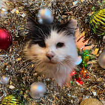 Thumbnail photo of Bryce #1