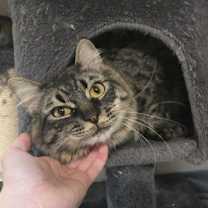 Thumbnail photo of Gary #4