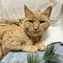 Thumbnail photo of Baguette #2